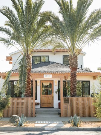 large palms in front of house