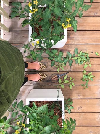 woman's feet next to container garden on balcony