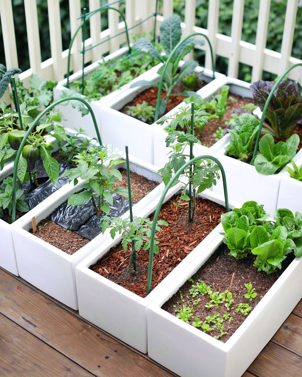 container garden on balcony