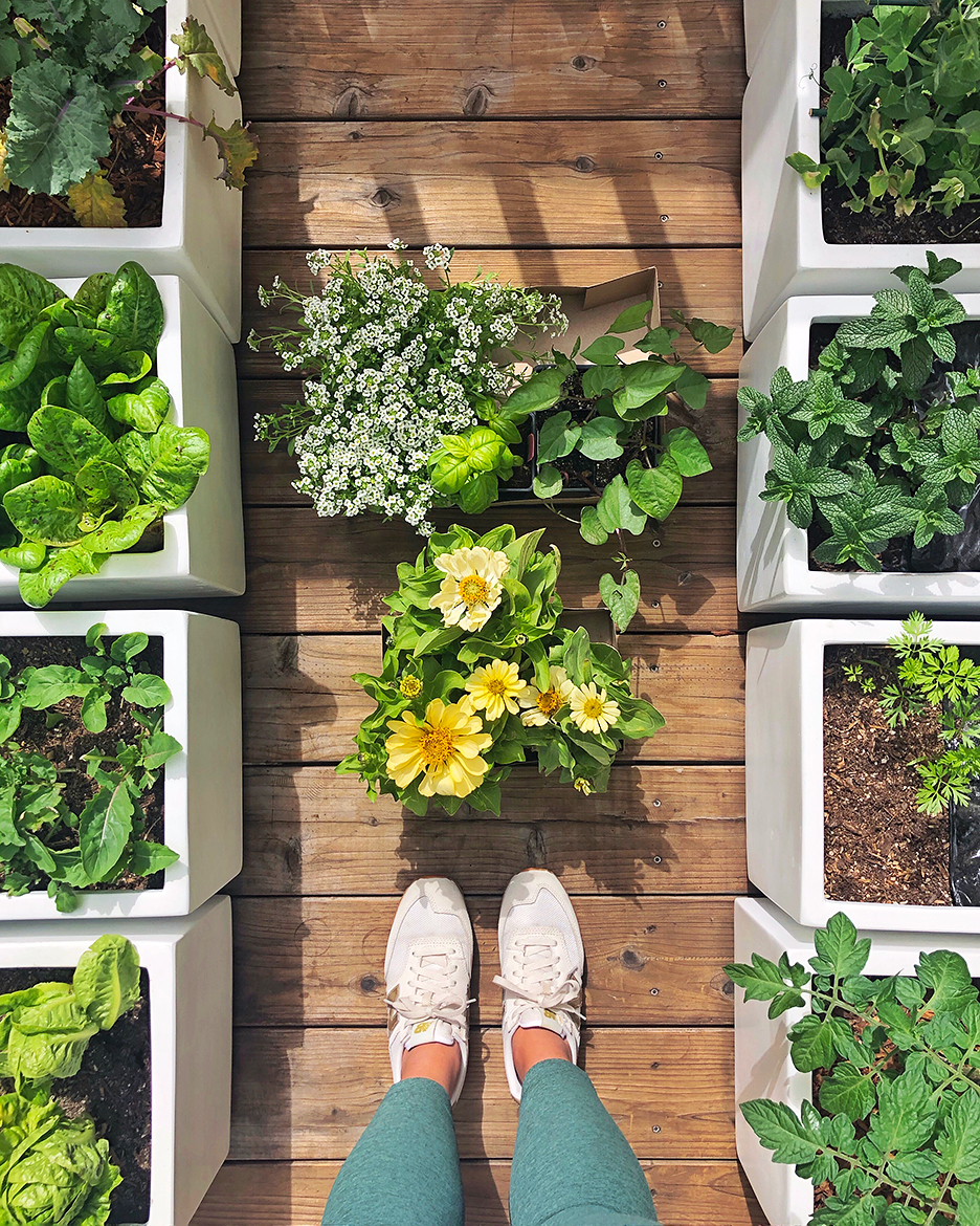 woman's feet next to rows of white planters