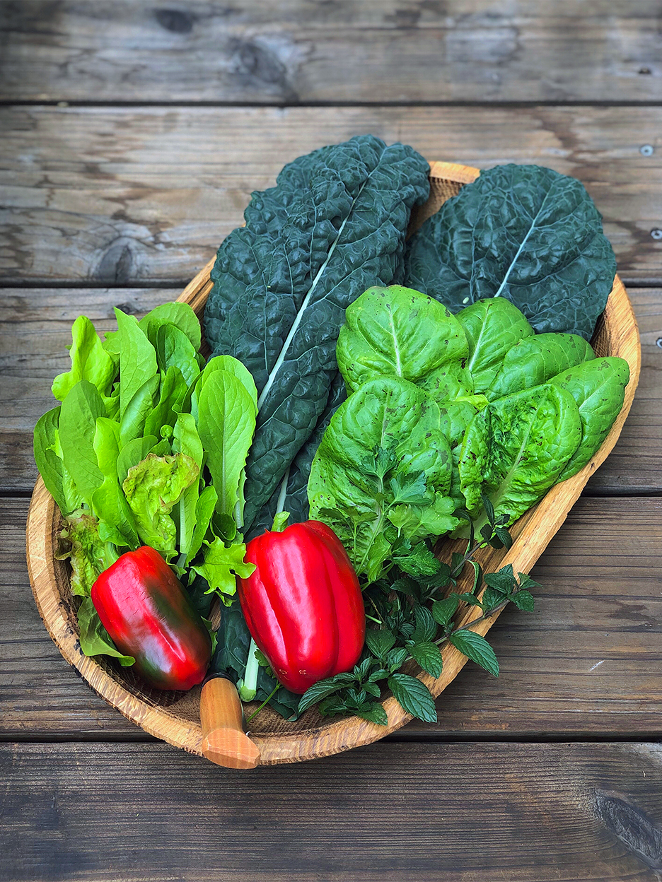 lettuces and peppers in basket