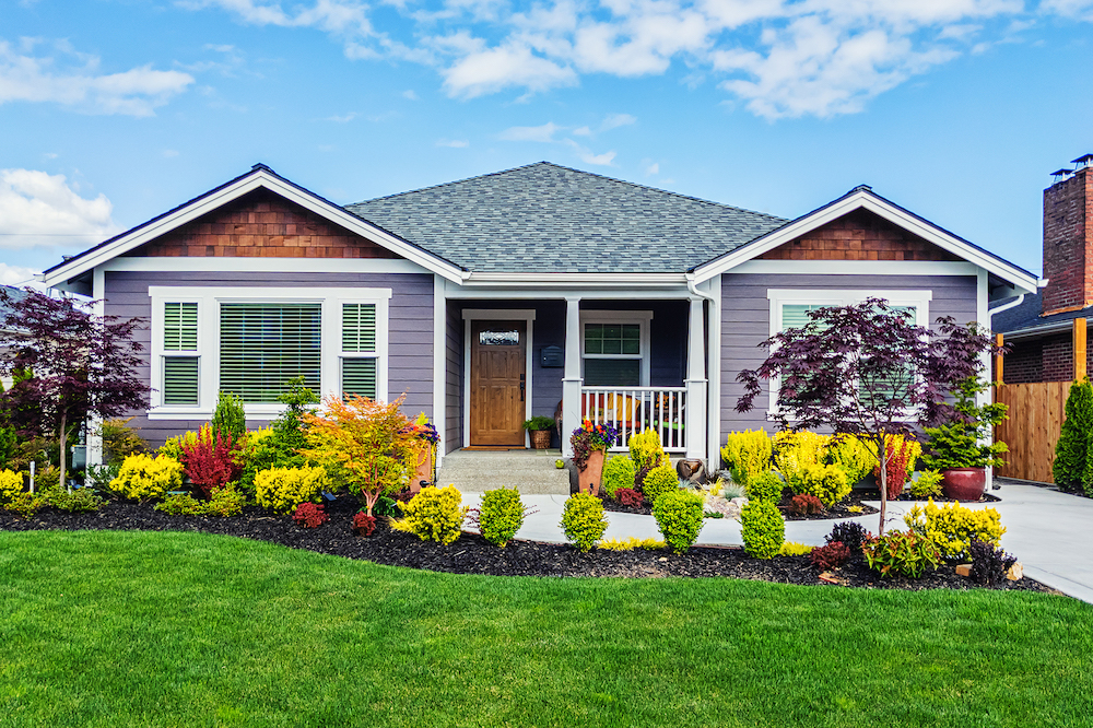 purple bungalow house