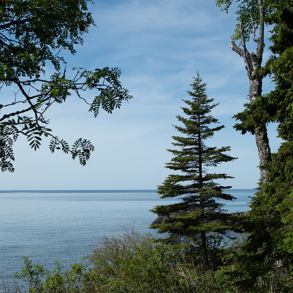 view of lake and trees