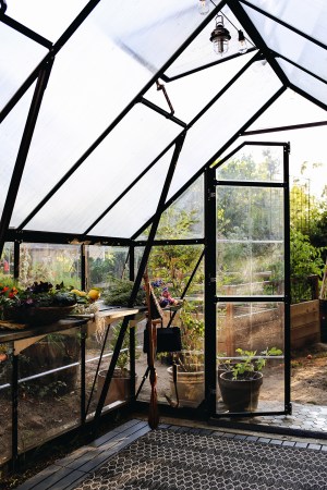 black metal greenhouse