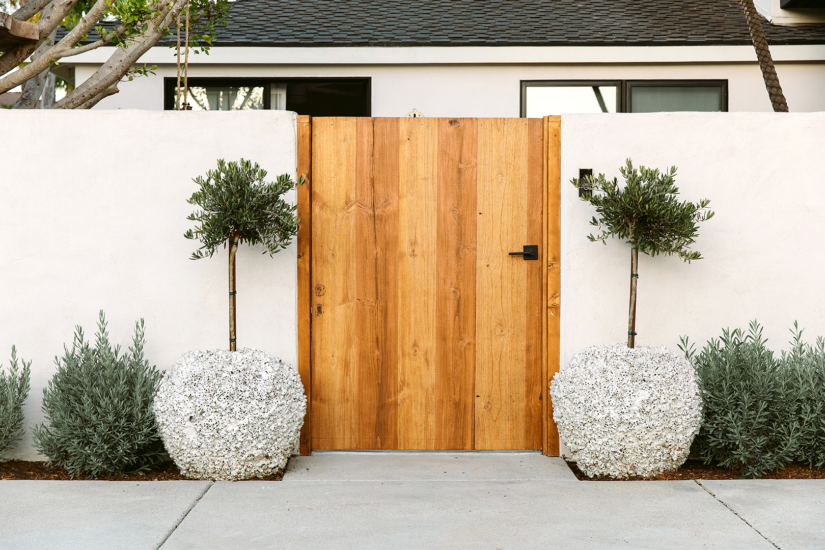 wood front gate door