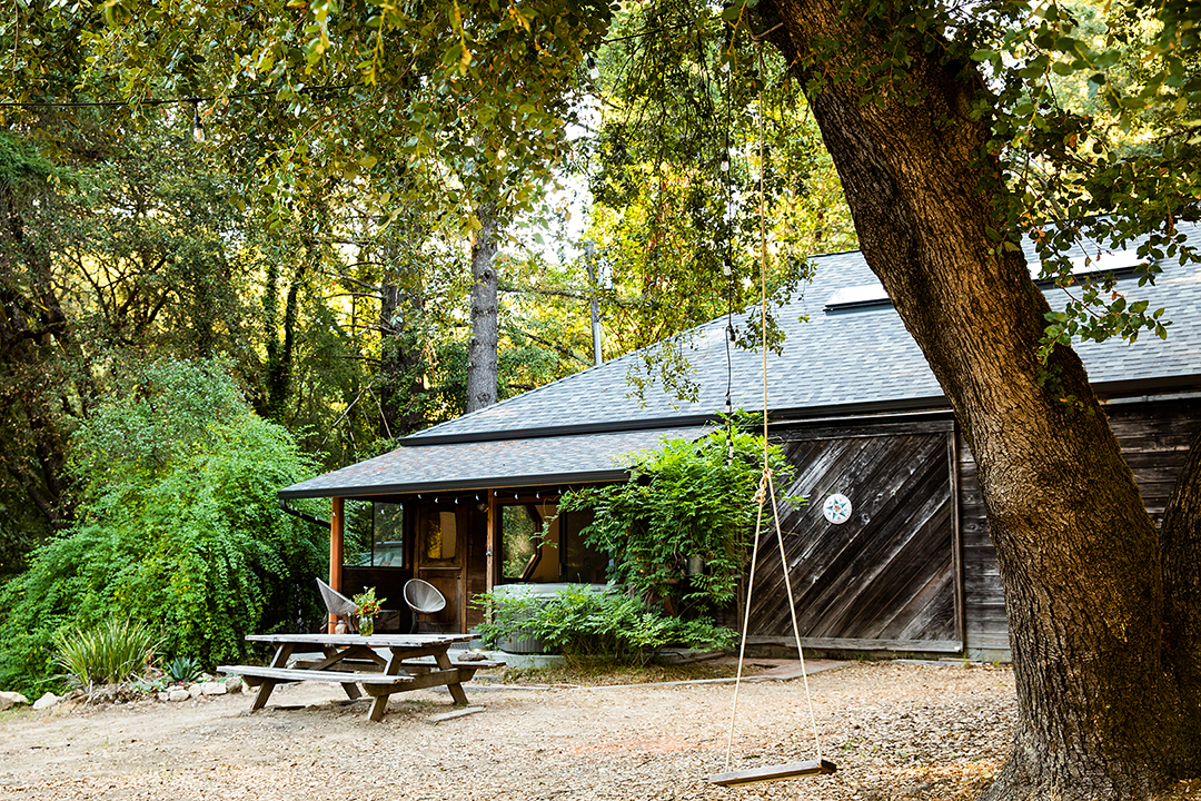 backyard of fishing cabin with tree swing