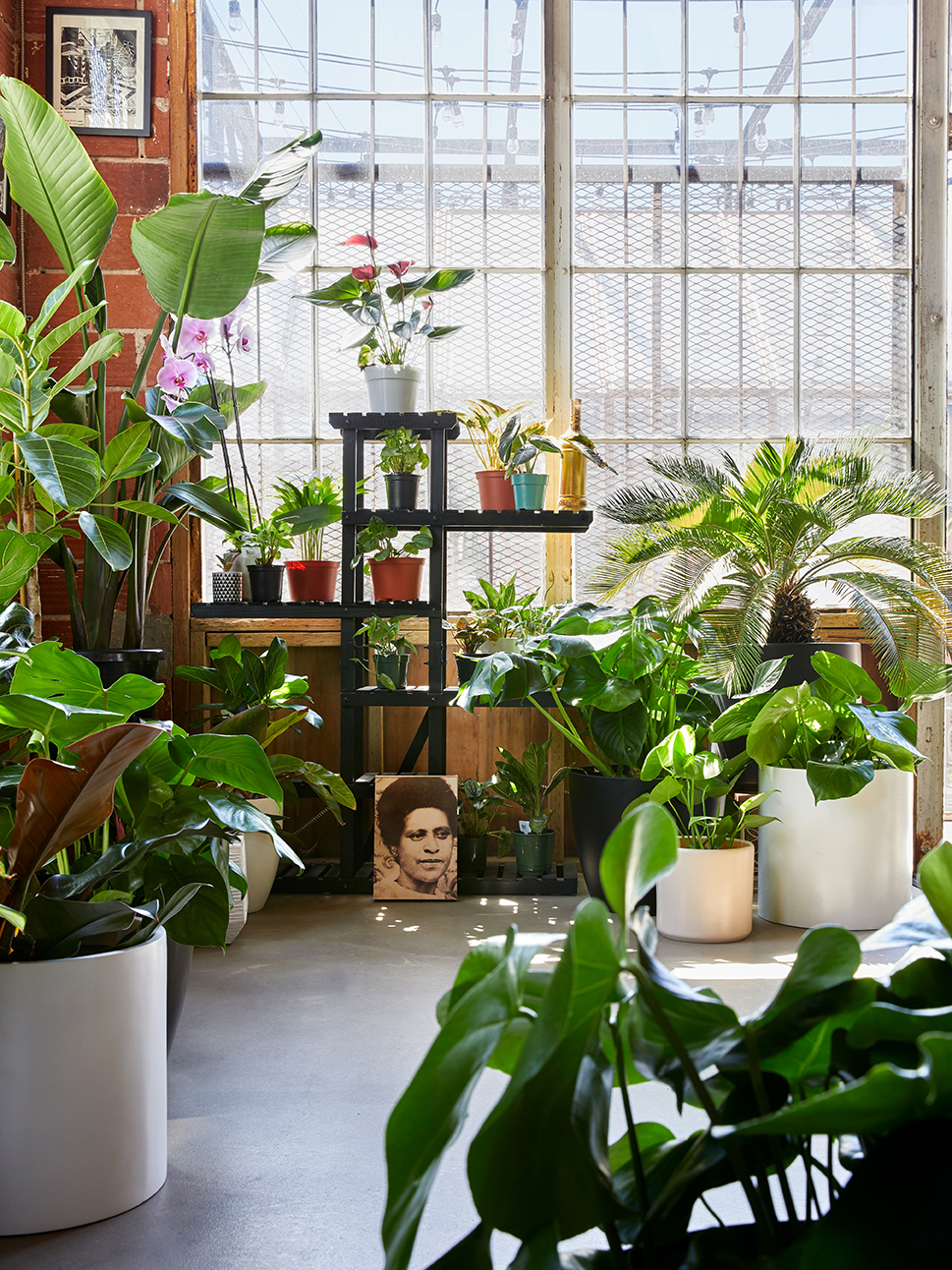 inside garden shop with plants
