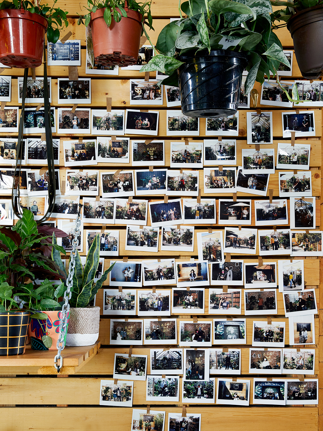 family photos on slatted wood wall