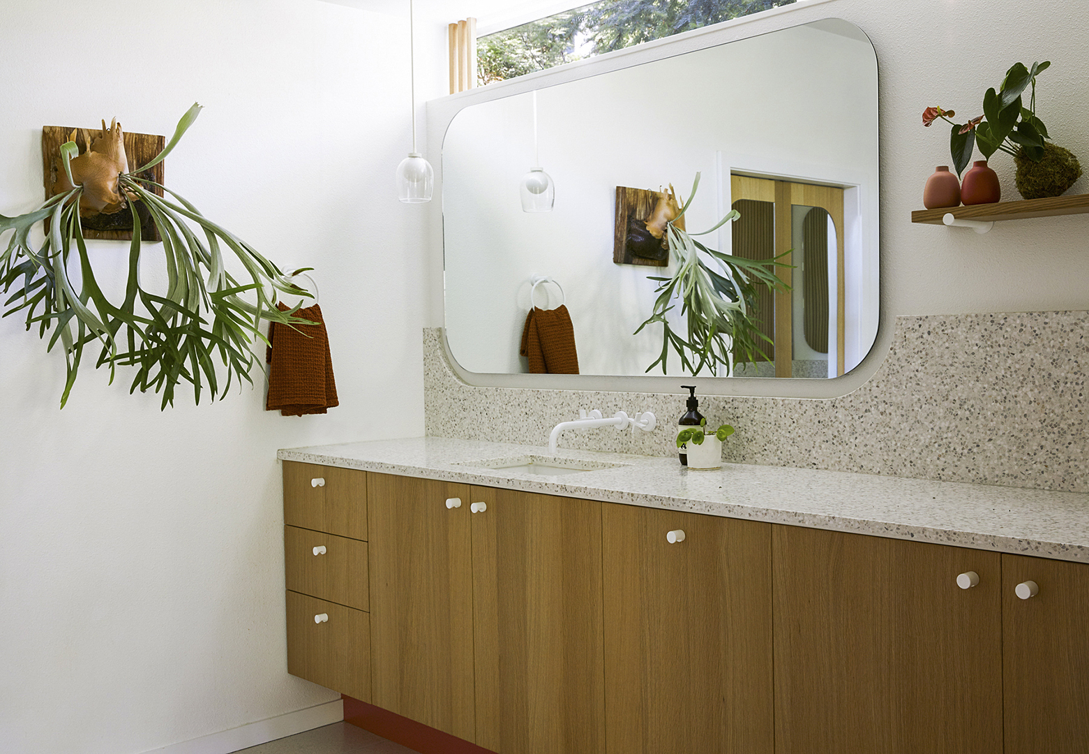 bathroom with plants and transom window