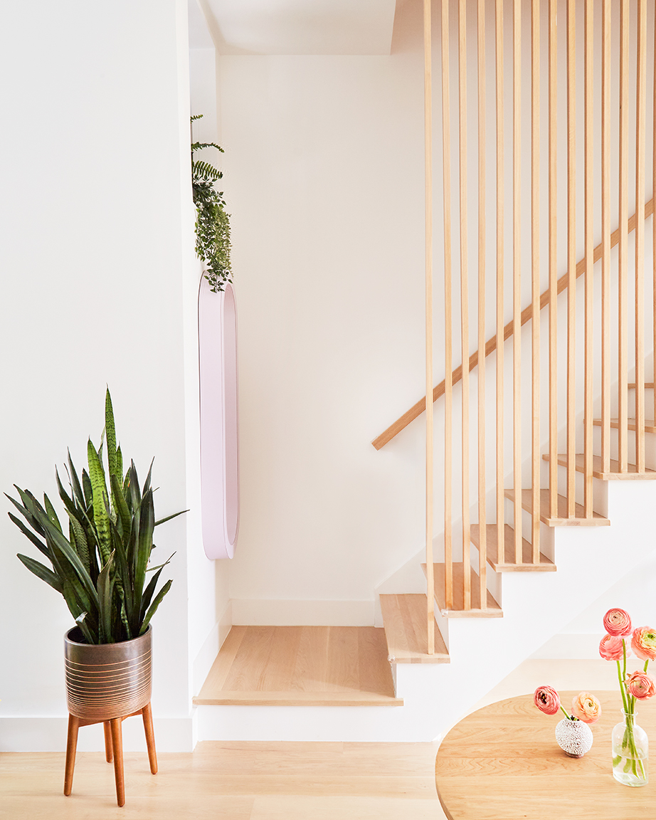 wooden staircase with white walls and plants 