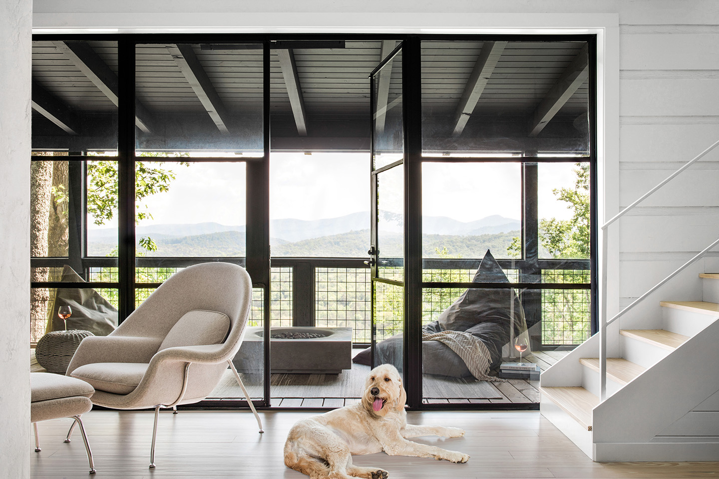 dog sitting in front of glass doors