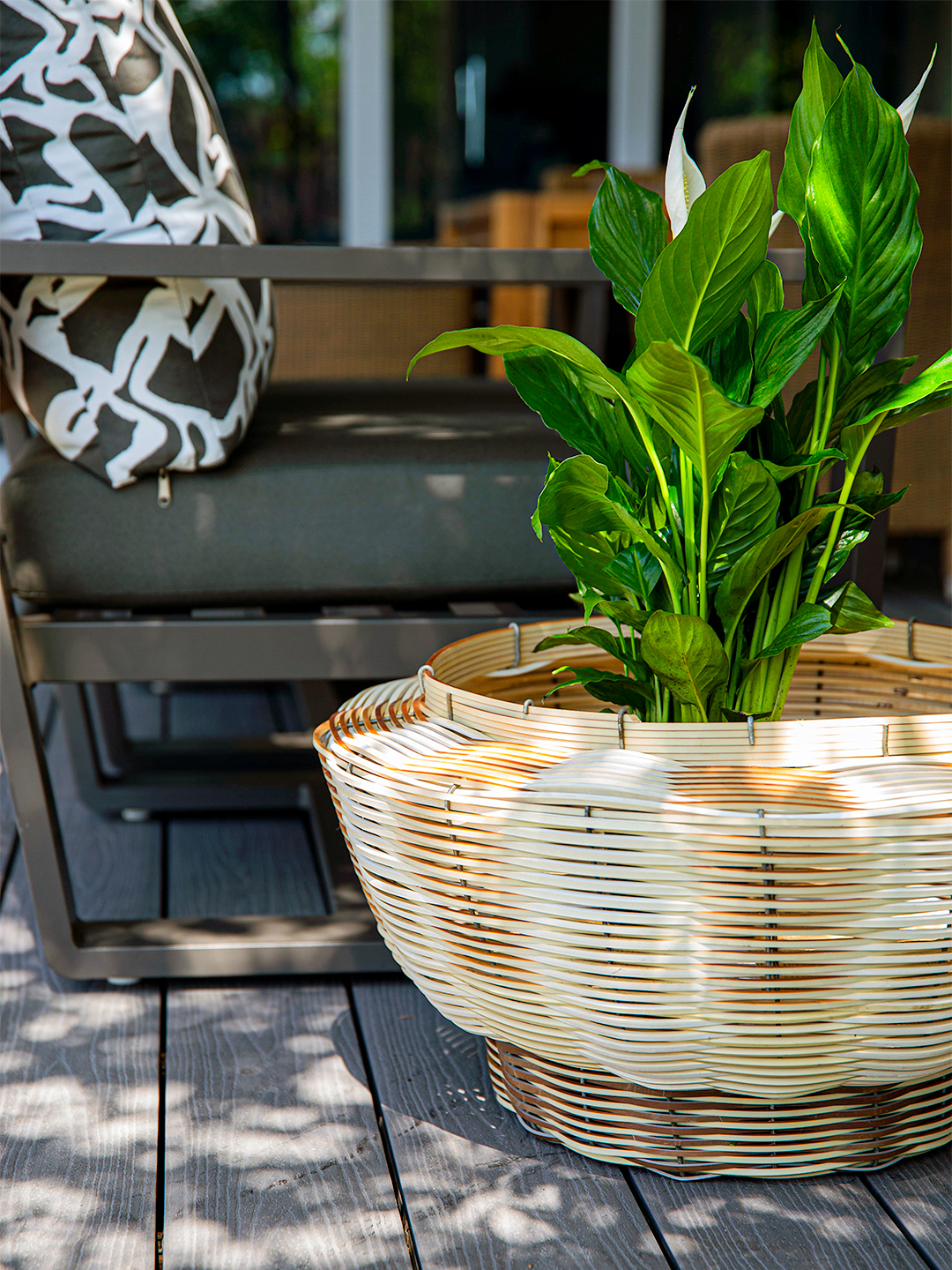 planter basket