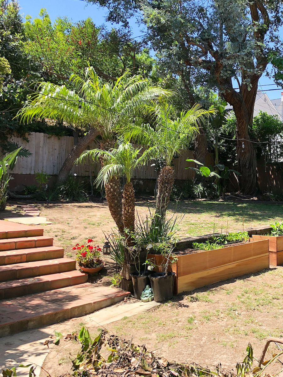 dry grass and brick steps