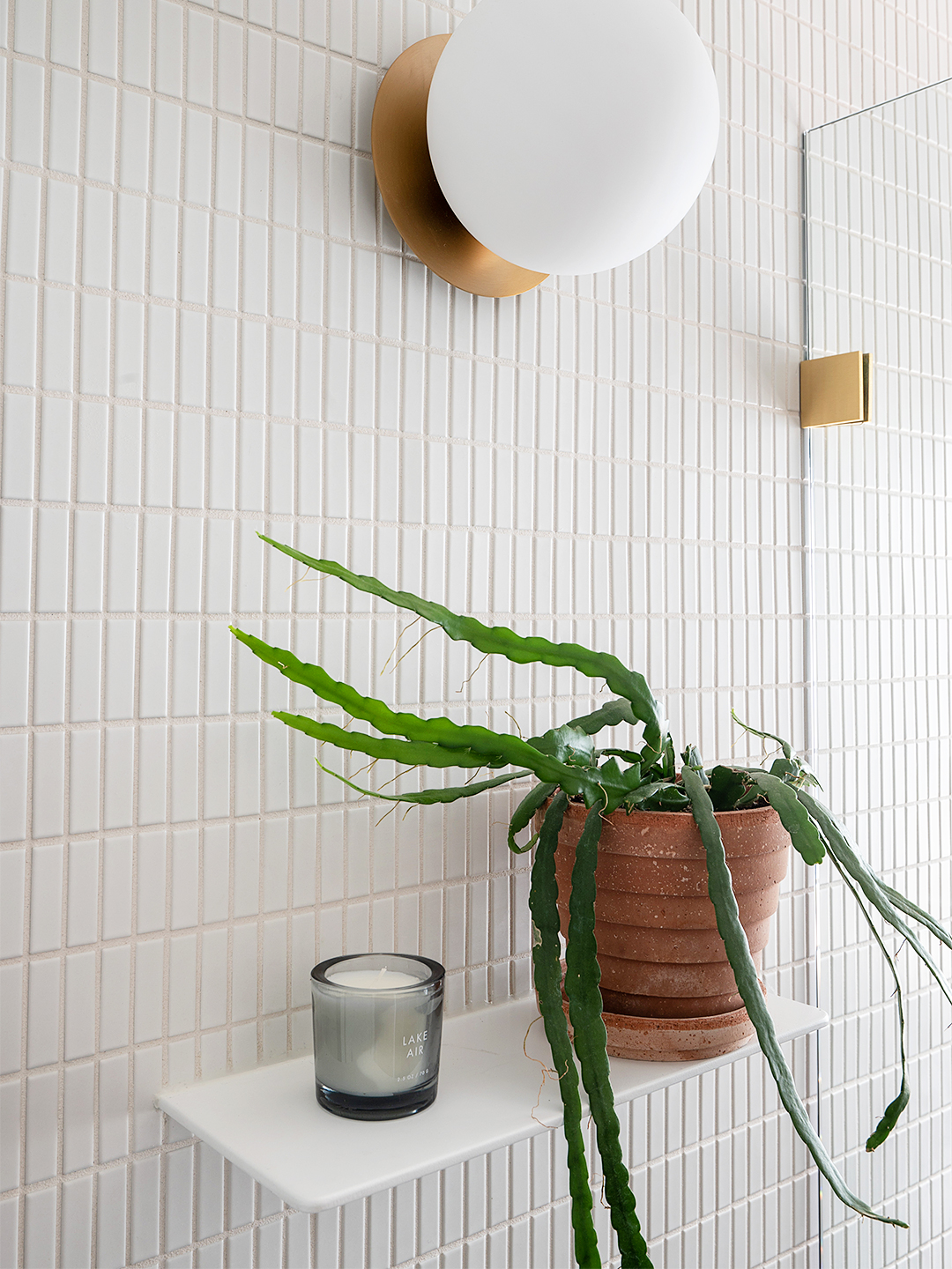 plant on floating shelf