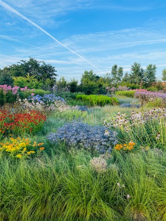 Legendary Garden Designer Piet Oudolf Shares His Go-To Tools