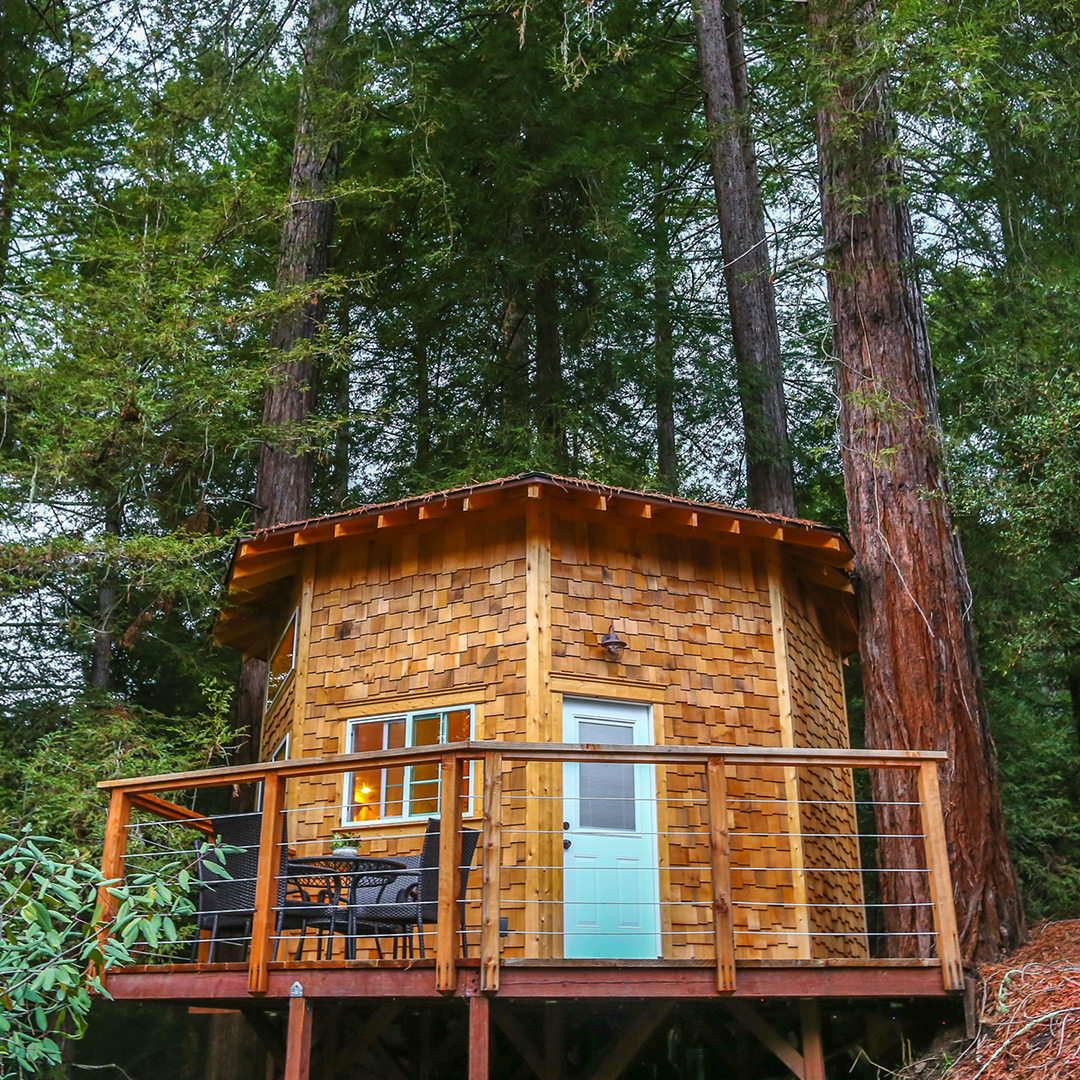 small curved tree house