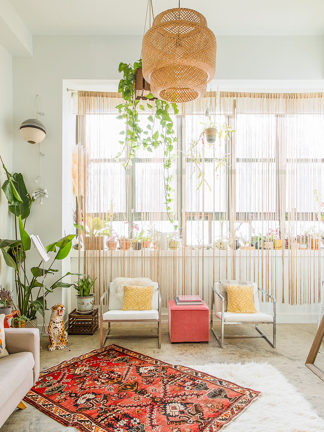 green plants in a living room, red rug and white walls