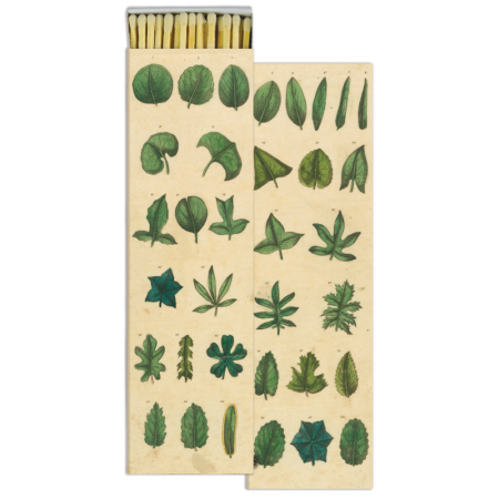  matchbox with green leaves on box