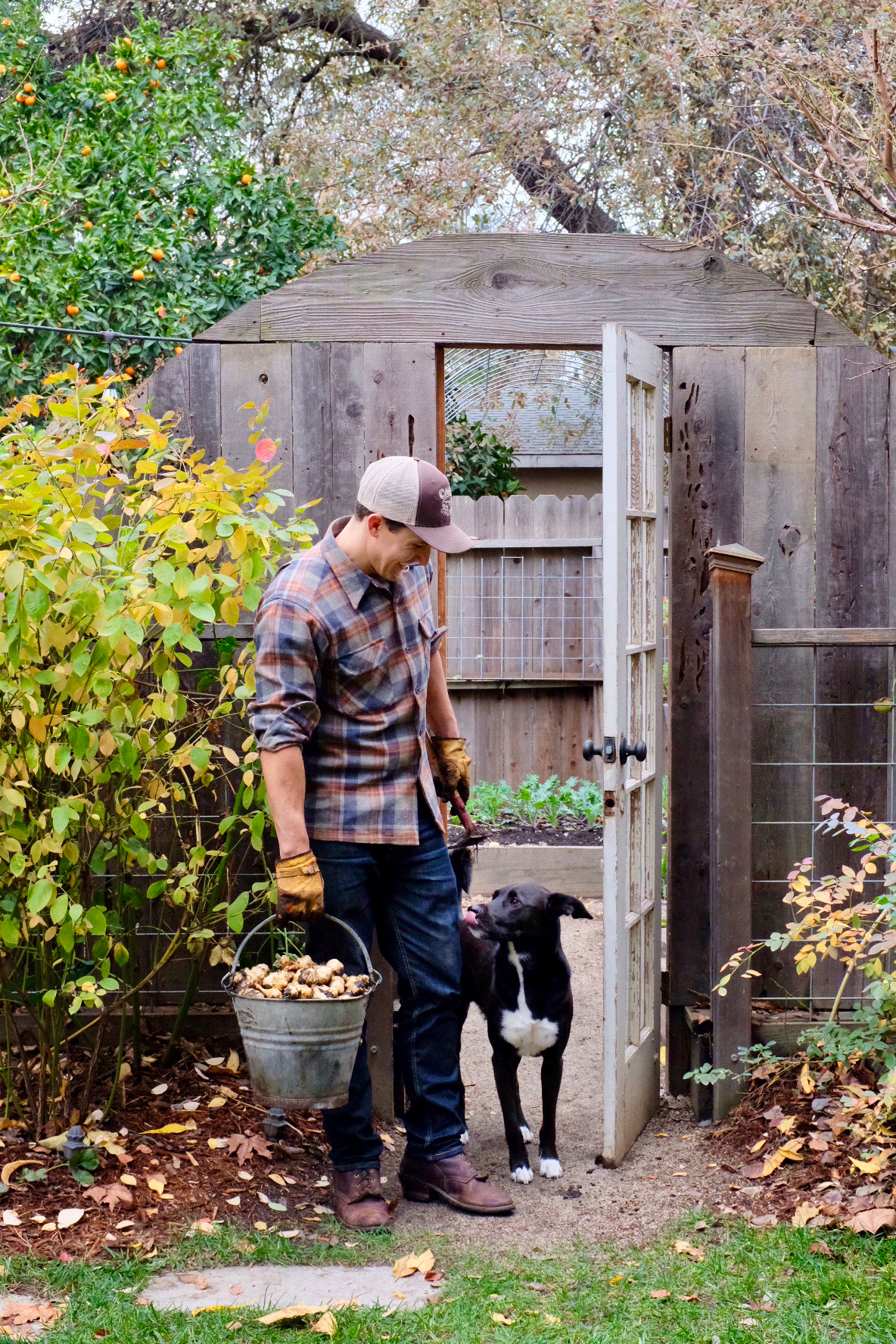 man with dog carrying bucket of garlic