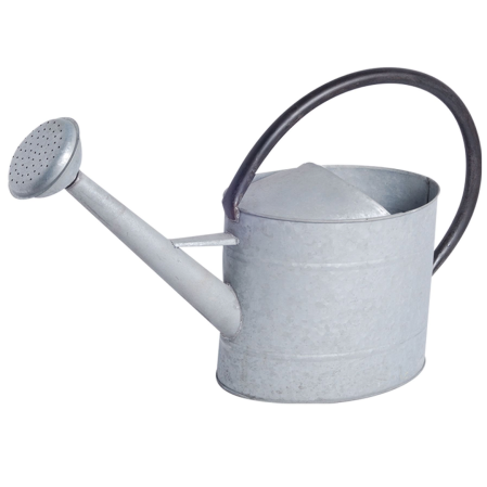  watering can