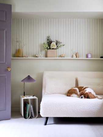 sage green paneled walls with dog on sofa