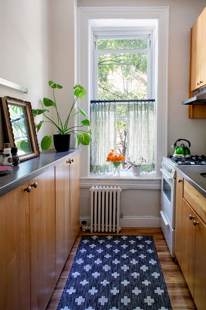 wood kitchen cabinets