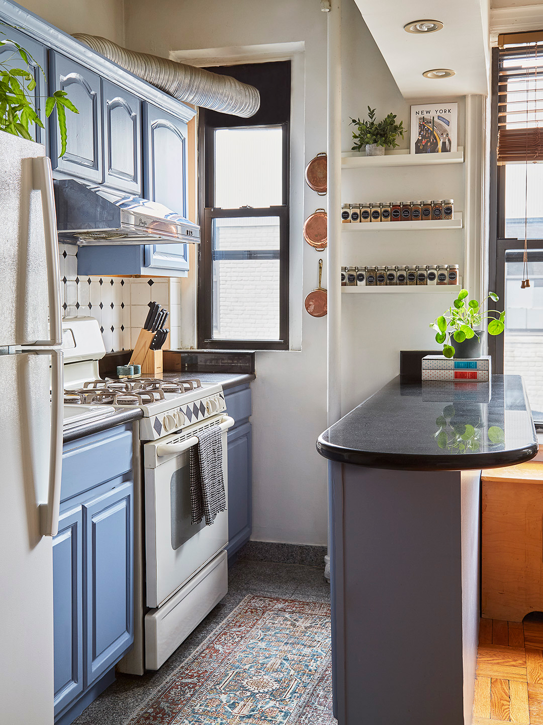 blue apartment kitchen