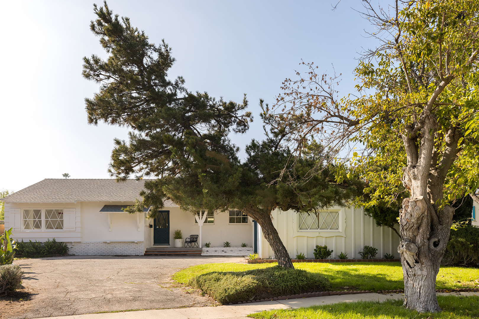 front yard with big tree