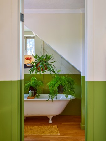 green bathroom with hanging plants
