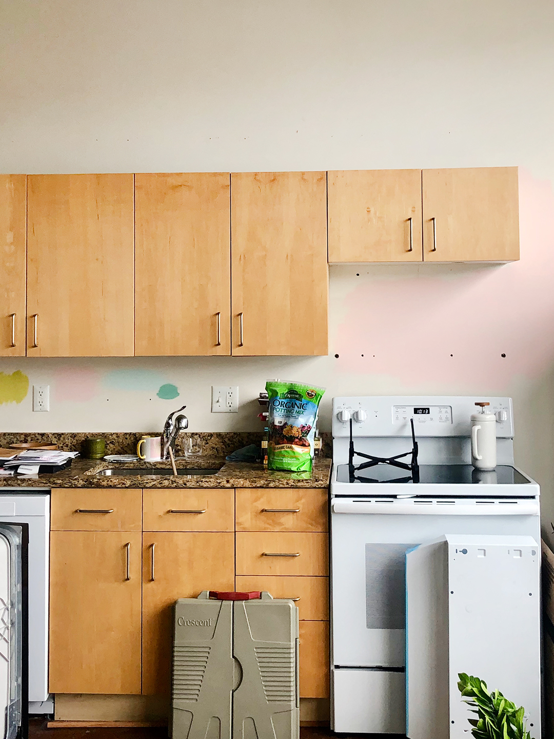 dated wood one wall kitchen