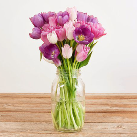  Tulips in Mason Jar