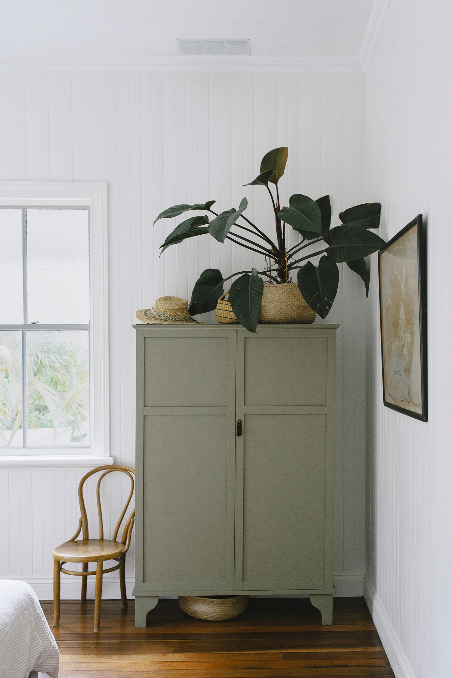 philodendron in woven basket on top of green cabinet