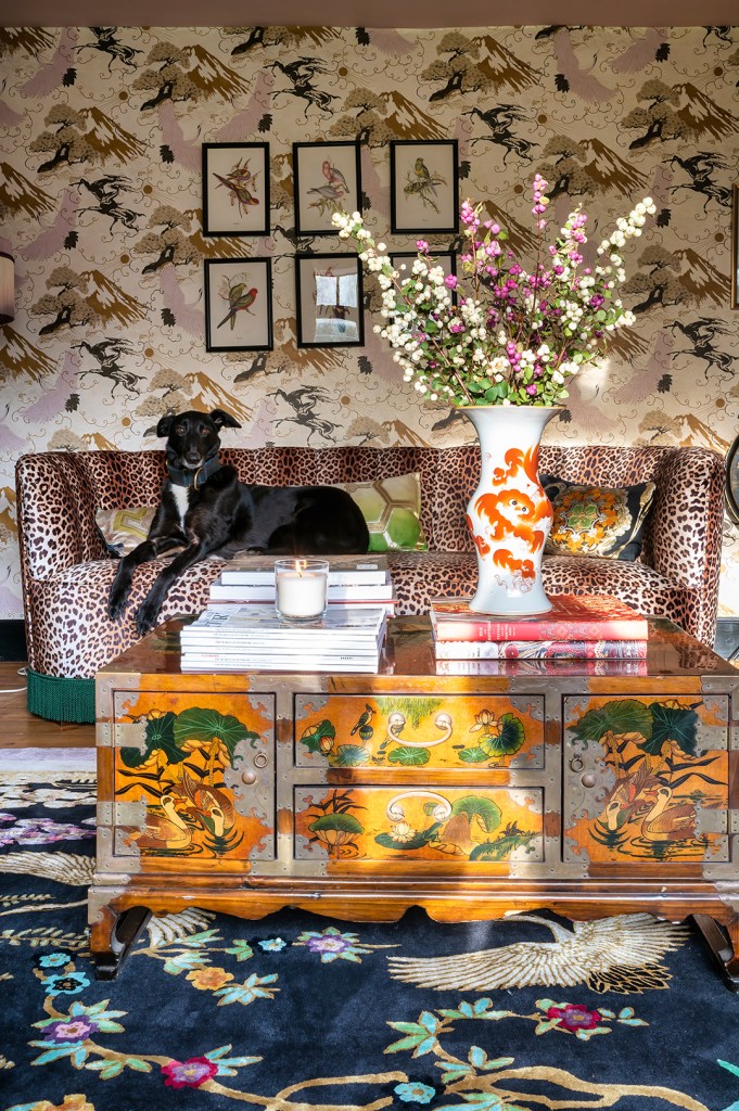 dog on leopard sofa