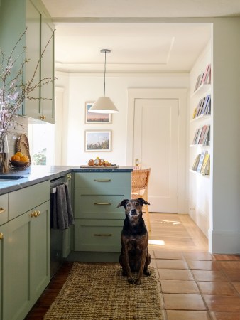 green kitchen with terracotta floors