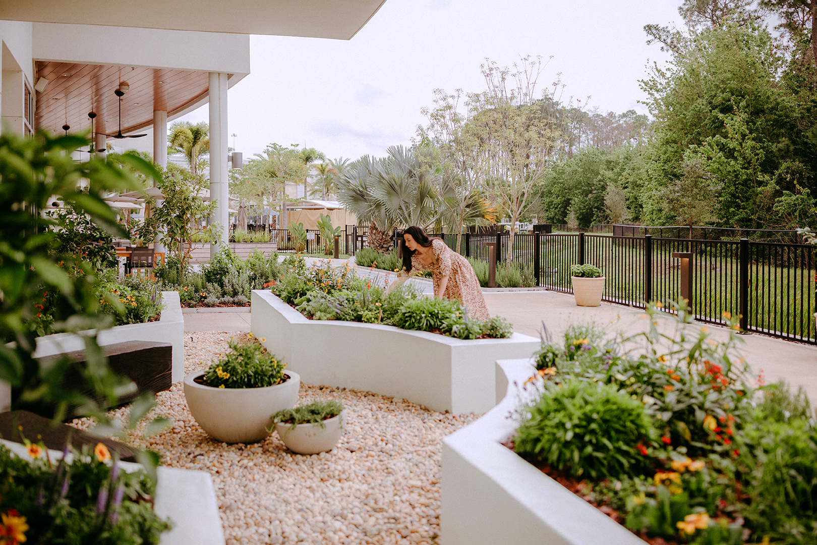 geometric white planters filled with herbs