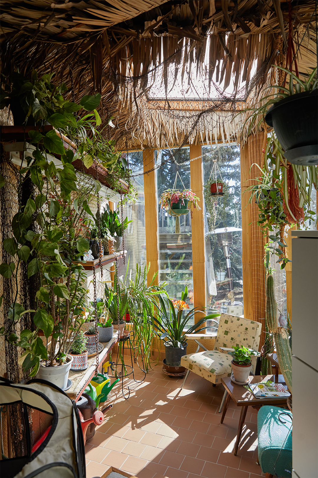 plant filled room