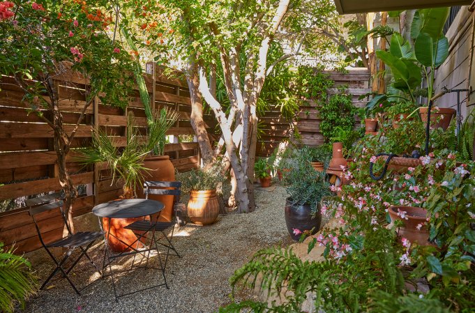 shady yard garden with tall wood fence