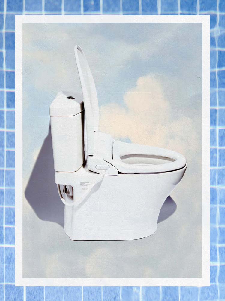 Bidet Toilet Seats