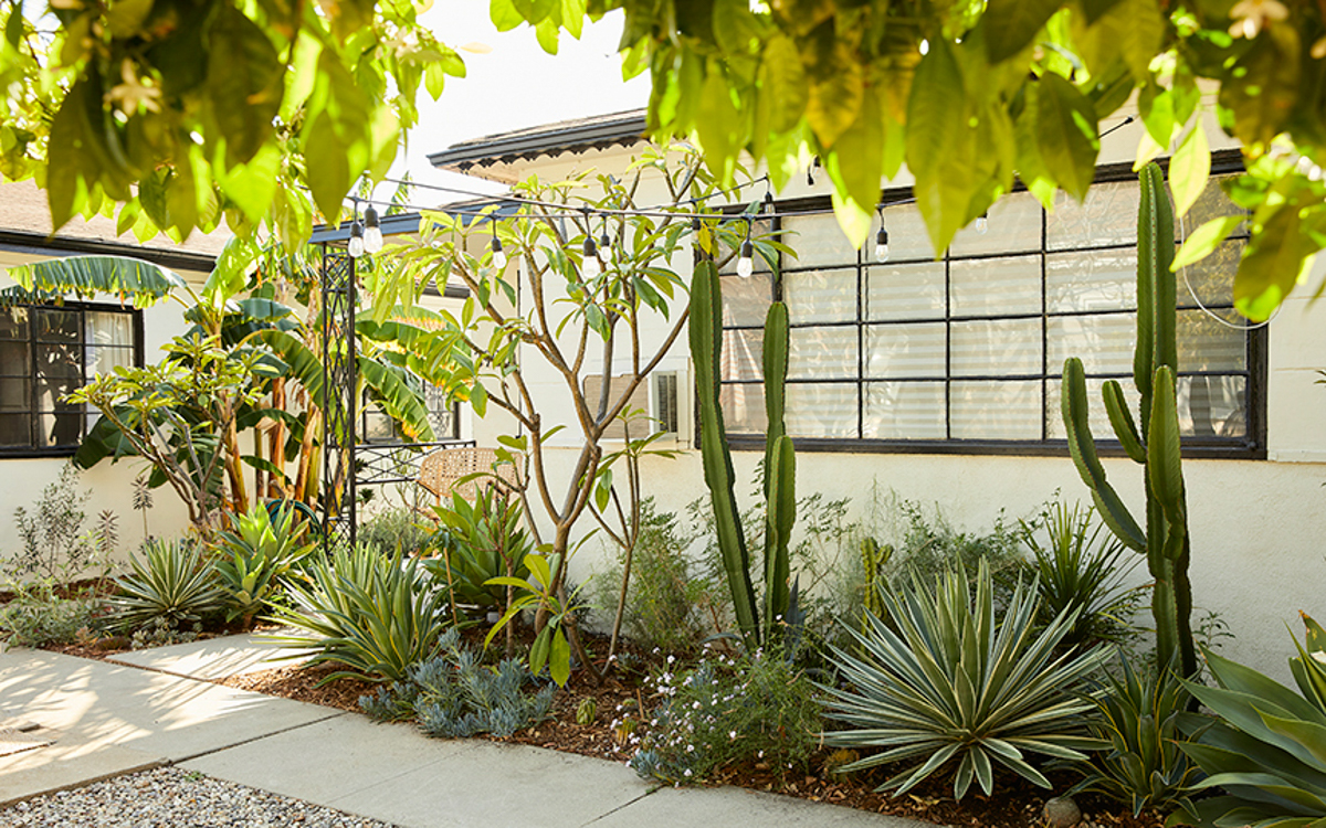 white home exterior with southwest garden