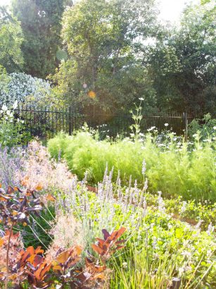 Tour a Dreamy Sacramento Backyard with a Pink Tiled Pool and Lush Garden