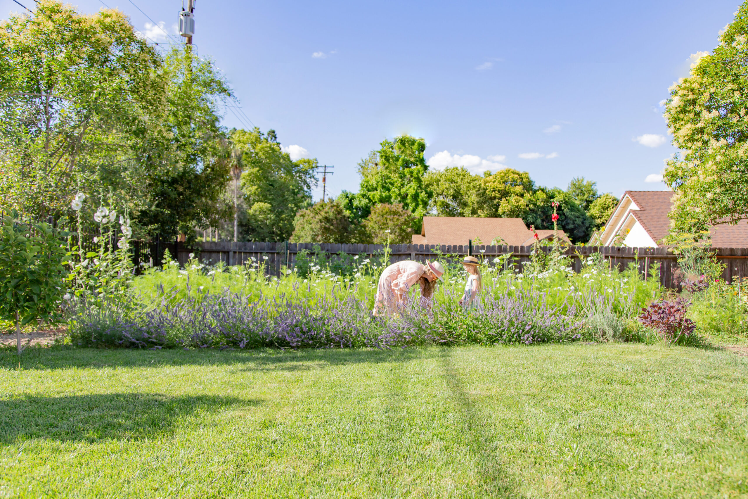 lush garden grassy area