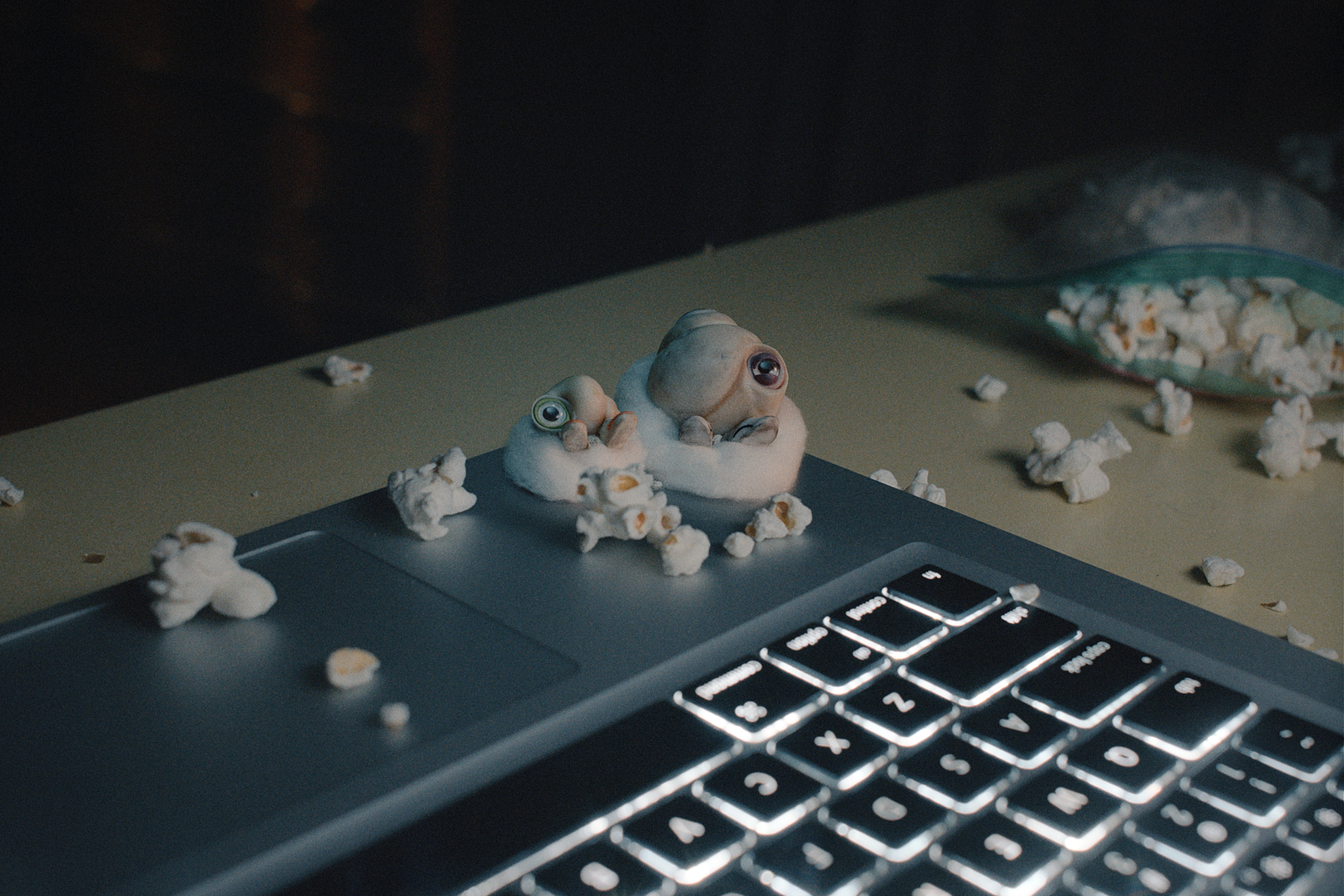 shell sitting on a laptop