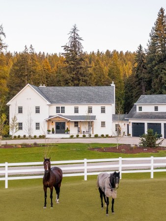 horses in front of house