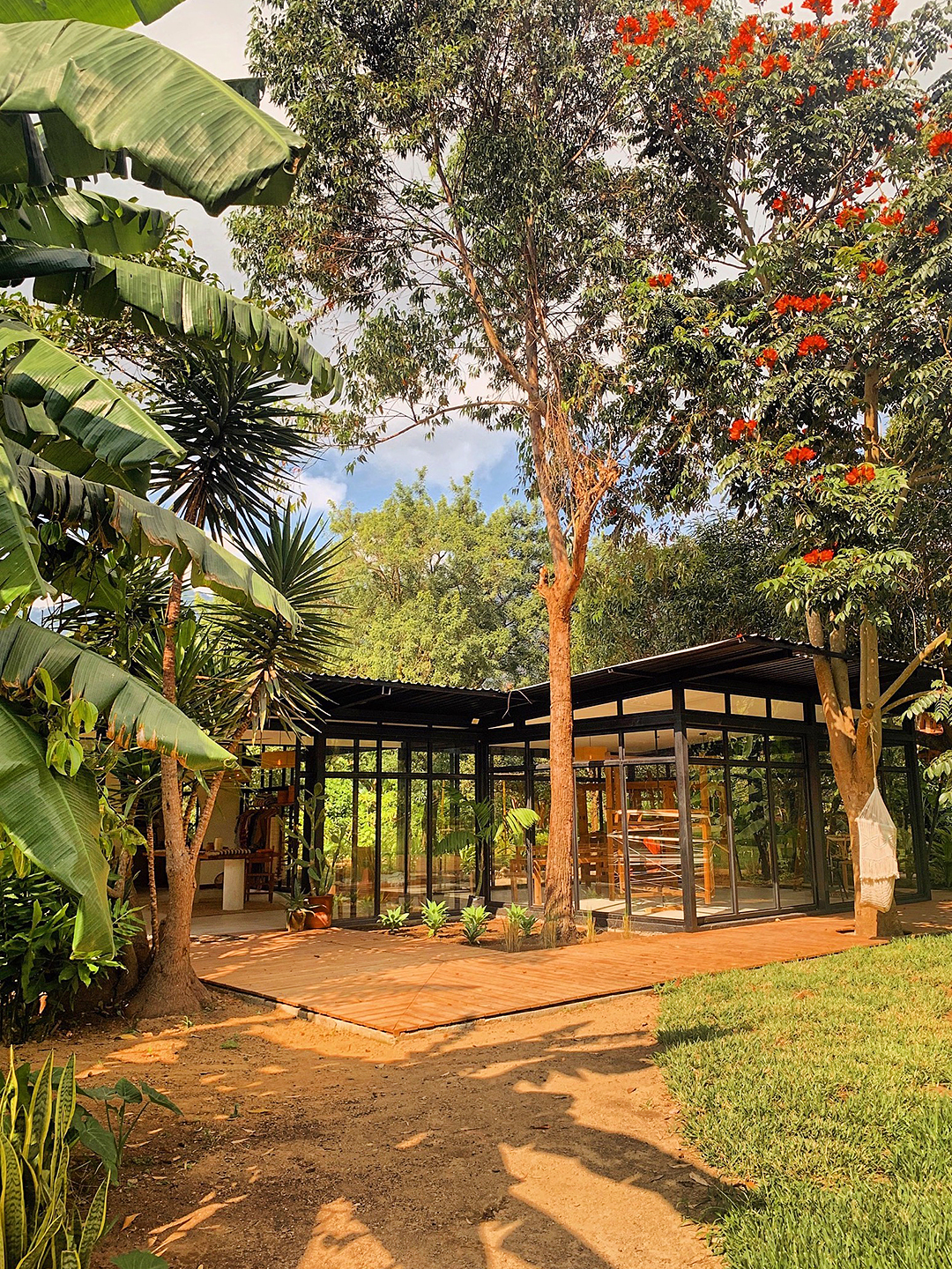 modern building in the trees