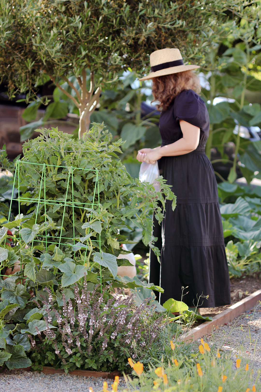 woman watering plants