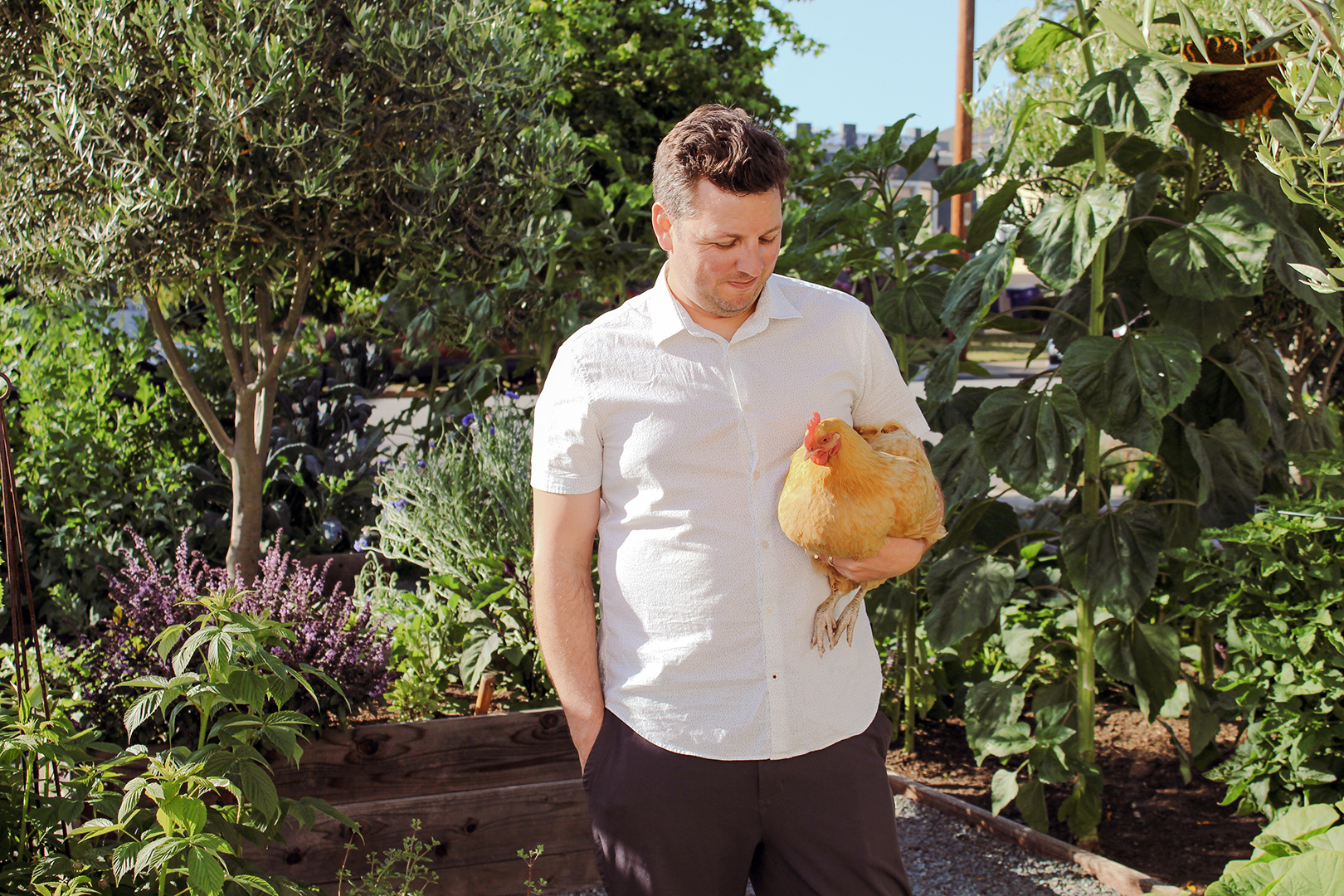 man holding chicken