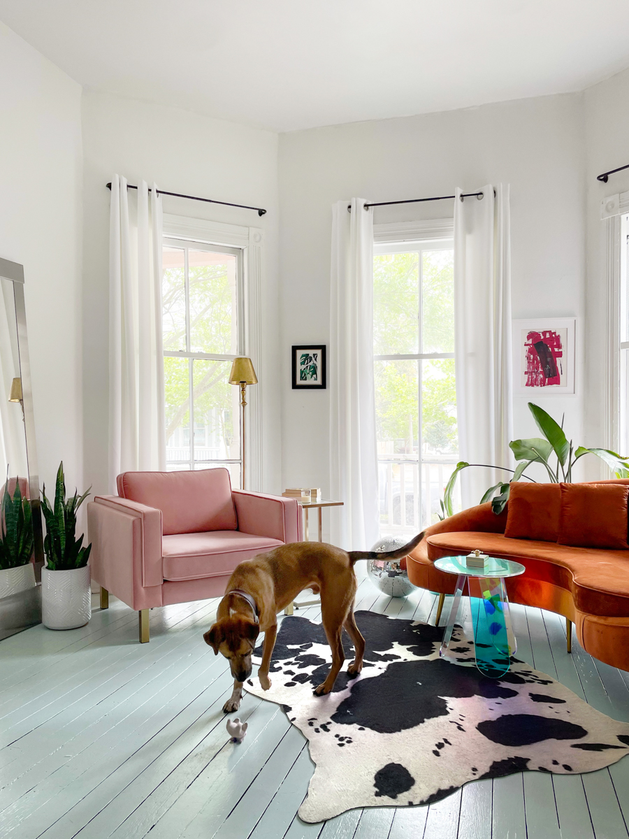 Living room with blue woodfloor, dog, cow hide, and orange sofa