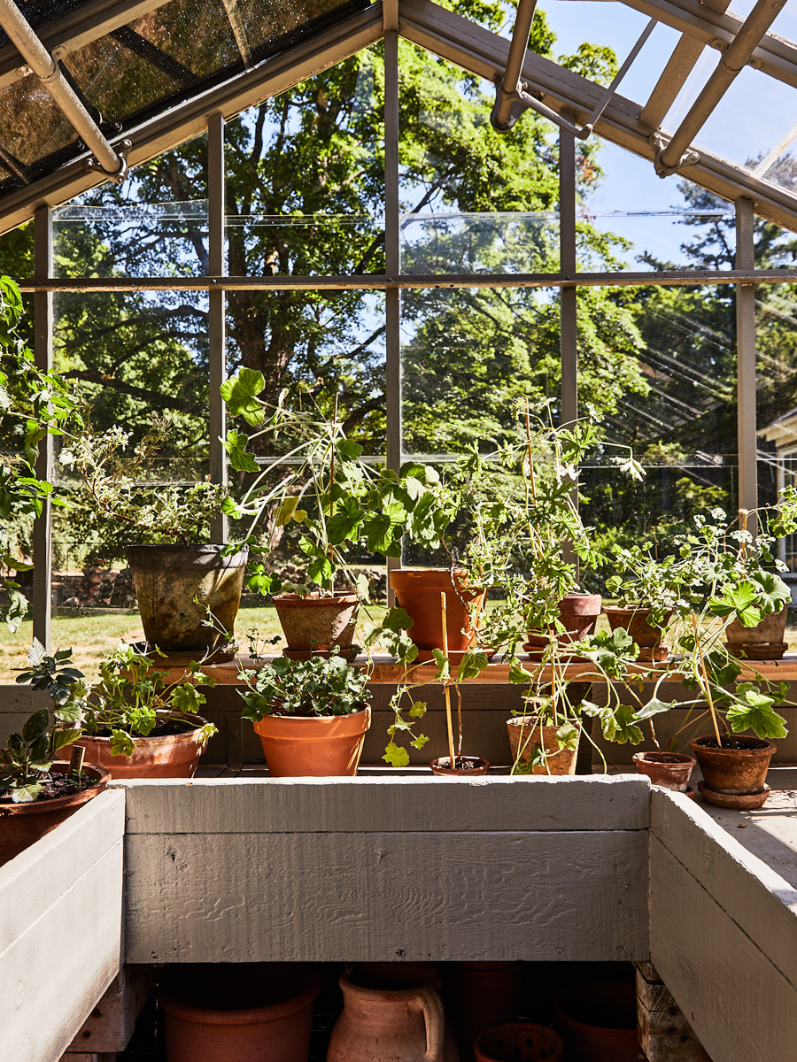 interior of greenhouse