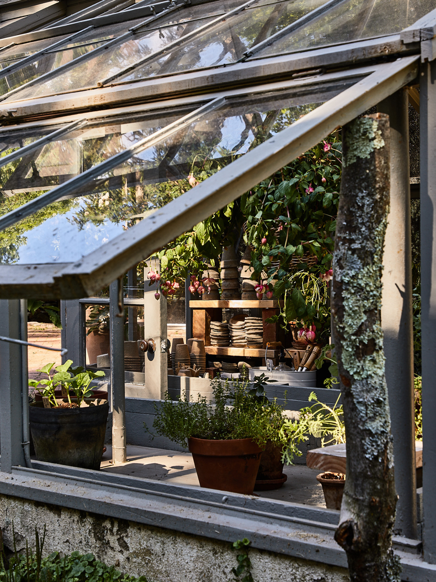 looking in through the window of glass greenhouse