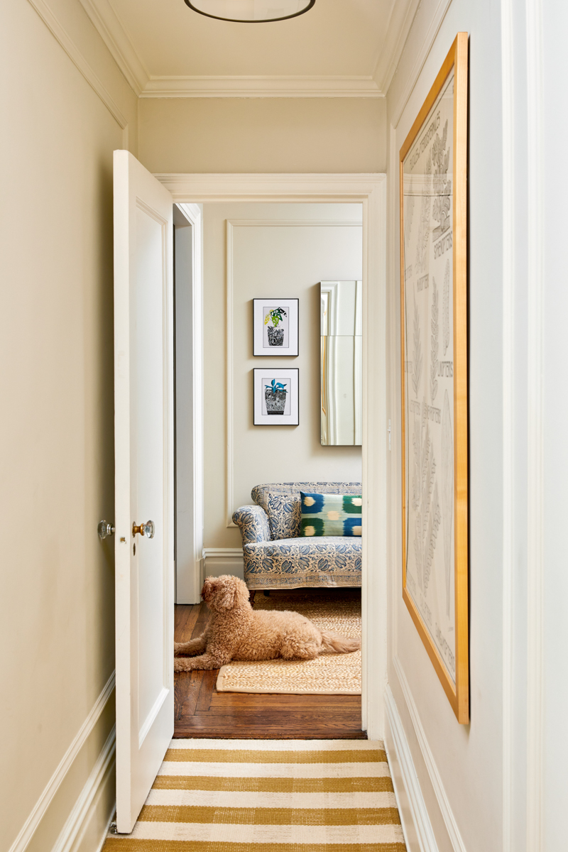 dog sitting in hallway